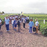 Exkursion moldawischer Betriebe zu rumänischen Soja-Bauern.