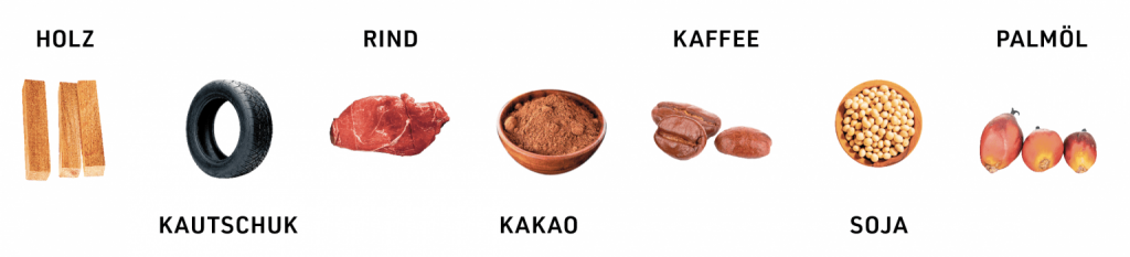 Grafik mit sieben Produkten, die zur Entwaldung beitragen können: Holz, Kautschuk (Reifen), Rindfleisch, Kakao (Pulver), Kaffee (Bohnen), Soja (Bohnen) und Palmöl (Früchte).
