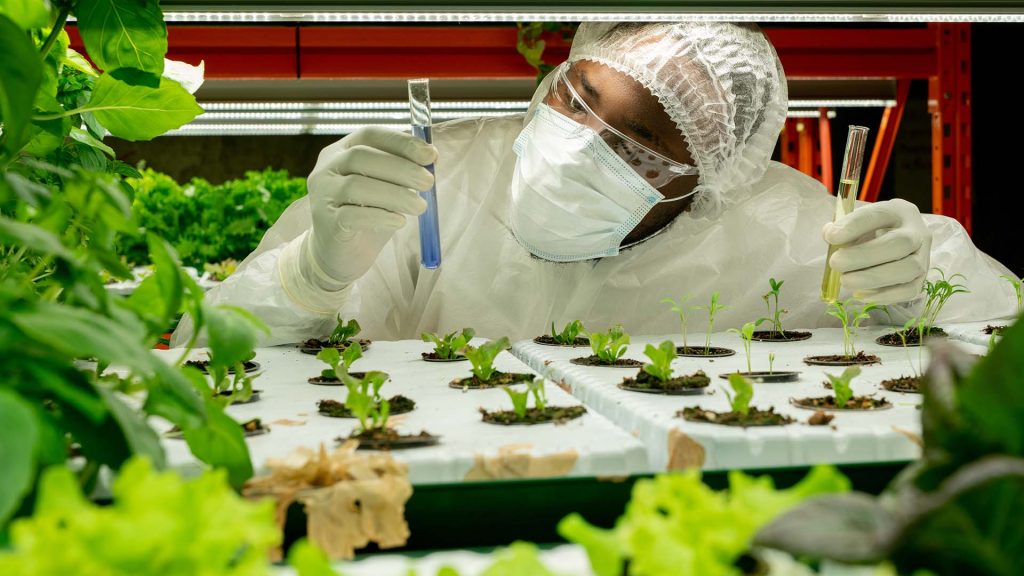 Wissenschaftler im Labor untersucht Pflanzenproben in einer hydroponischen Anlage und hält zwei Reagenzgläser mit Flüssigkeit zur Analyse.