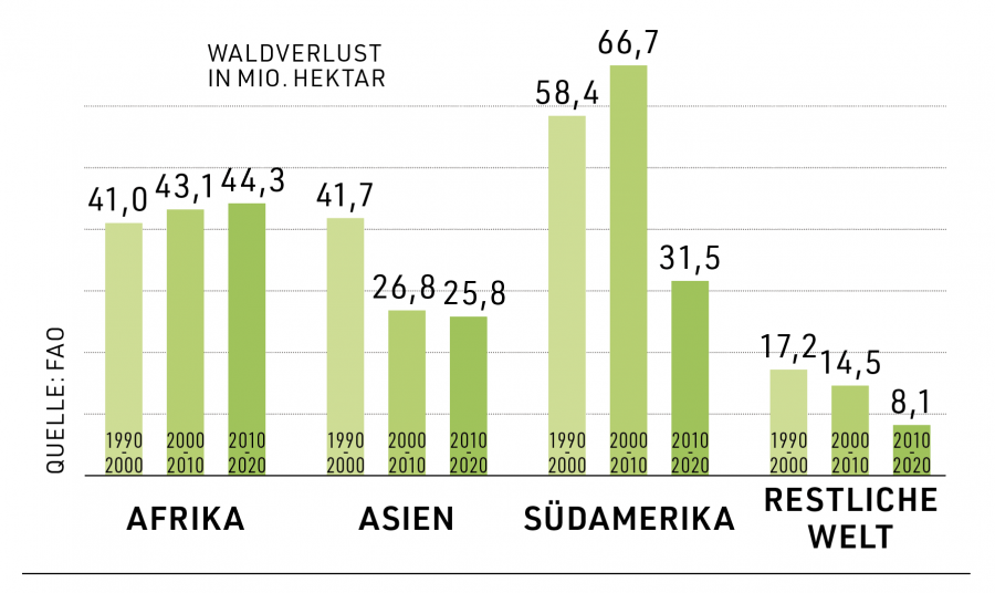 Balkendiagramm zeigt den Waldverlust in Millionen Hektar nach Regionen von 1990 bis 2020. Besonders hoher Verlust in Südamerika, gefolgt von Afrika, Asien und der restlichen Welt. Quelle: FAO.