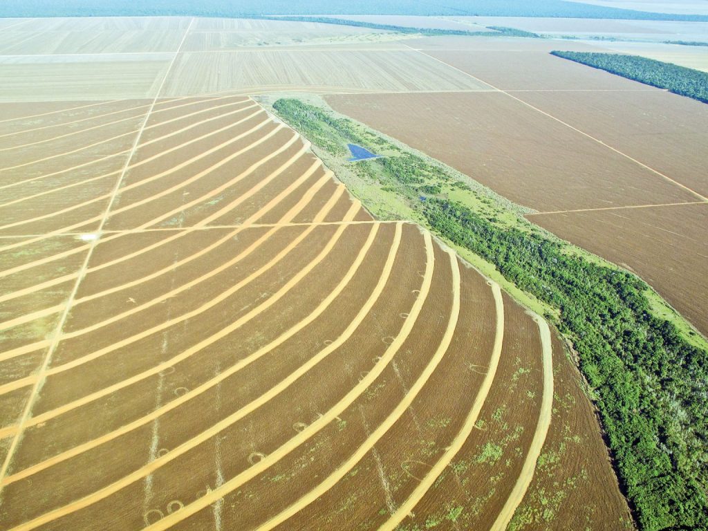 Luftaufnahme großflächiger landwirtschaftlicher Felder mit geschwungenen Pflugspuren. In der Mitte verläuft ein schmaler Streifen unberührter Vegetation