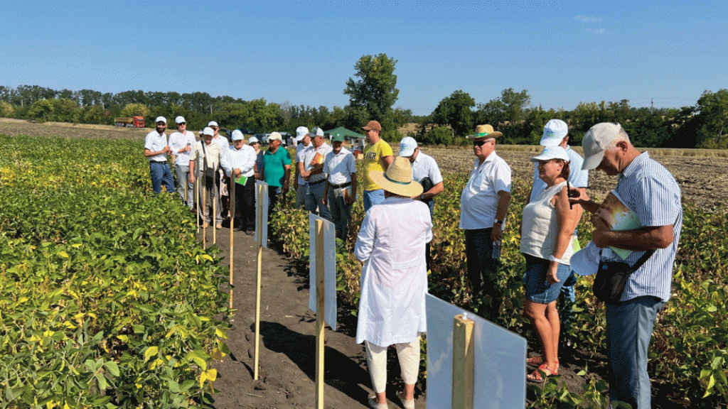 Gruppe von Menschen steht bei sonnigem Wetter auf einem Versuchsfeld mit Sojapflanzen und bespricht Anbauversuche.